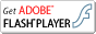 Adobe Flash-Player herunterladen Adobe Flash-Player herunterladen